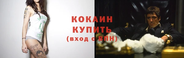 ГАЛЛЮЦИНОГЕННЫЕ ГРИБЫ Елизово