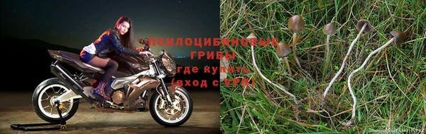 скорость Дмитров