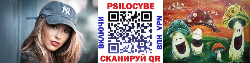 Купить закладки  Киржач  Галлюциногенные грибы прущие грибы 